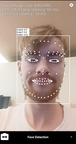 face detection setup